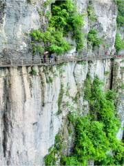 Cliff Skywall