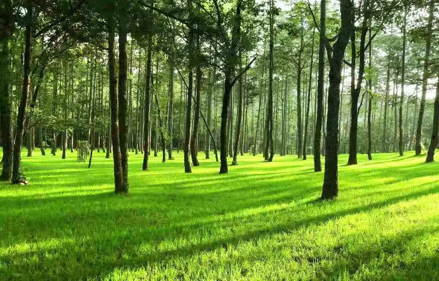 Longyun Health Valley