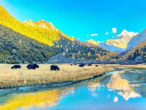 Daocheng Yading