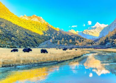 Daocheng