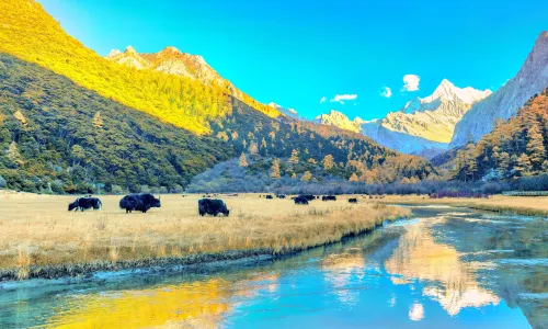 Daocheng Yading