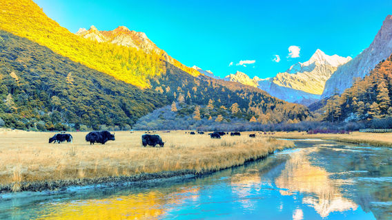 เมืองนารายณ์