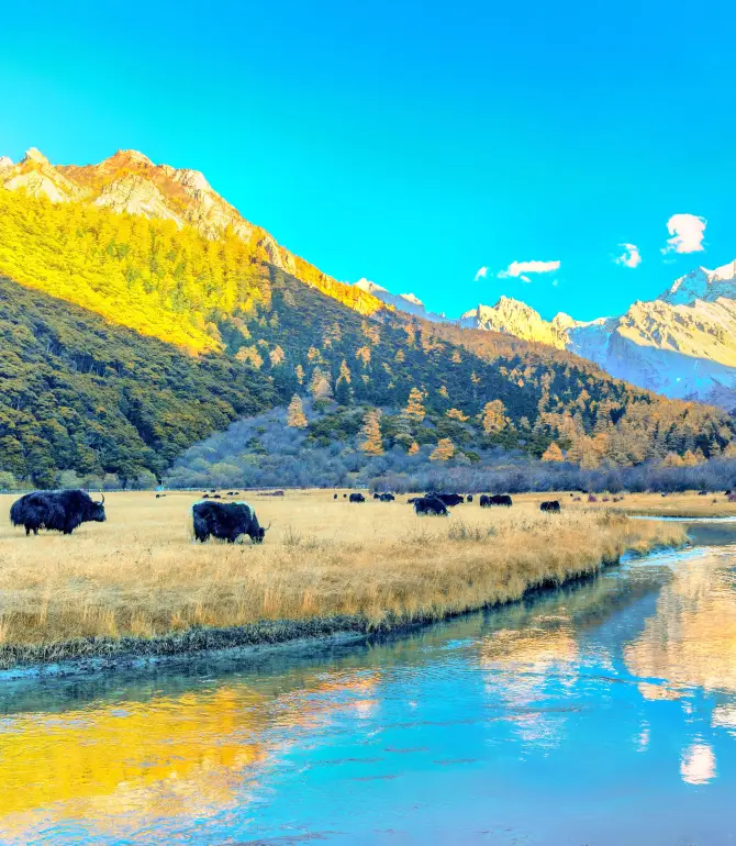 Daocheng Yading