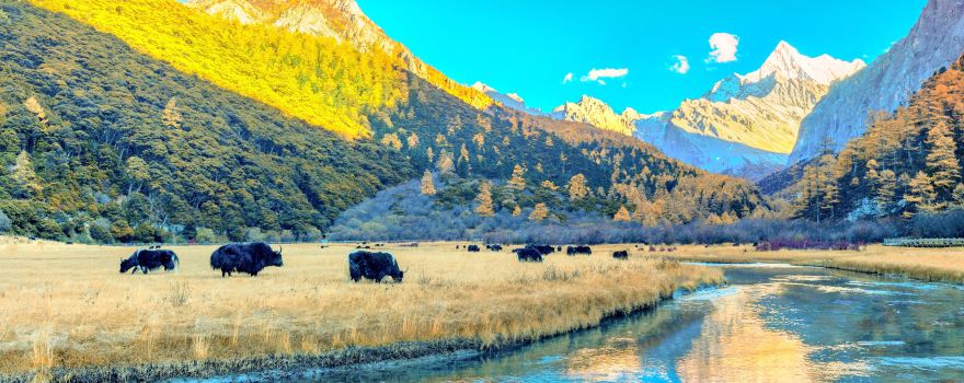 Daocheng Yading