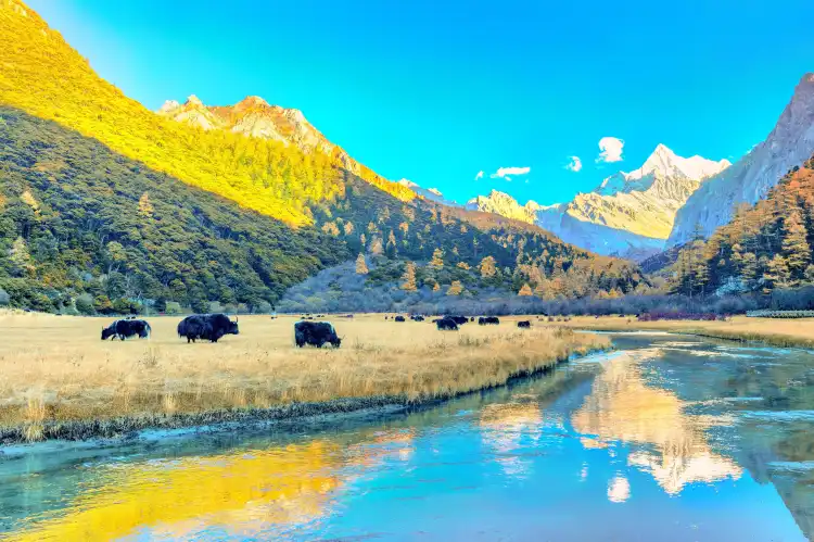 Hotel Songtsam di Daocheng