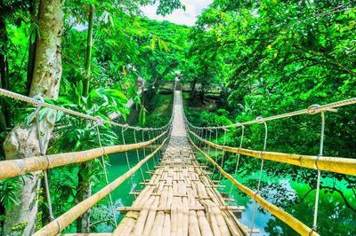 Sevilla Twin Hanging Bridge
