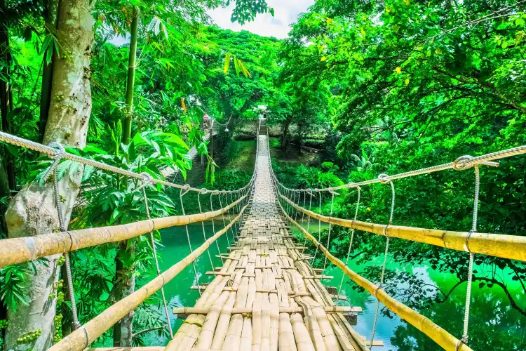 Bohol