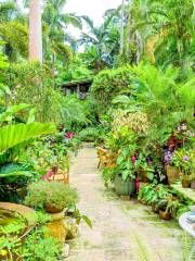 Hunte's Gardens