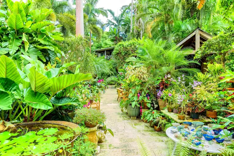 Hotels near Hunte's Gardens