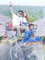 Hua Hin Safari & Adventure Park