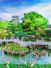 摩納哥日本花園