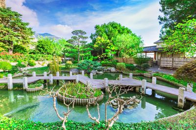 Princess Grace Japanese Garden