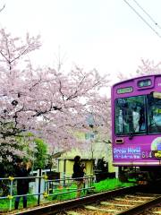 桜のトンネル