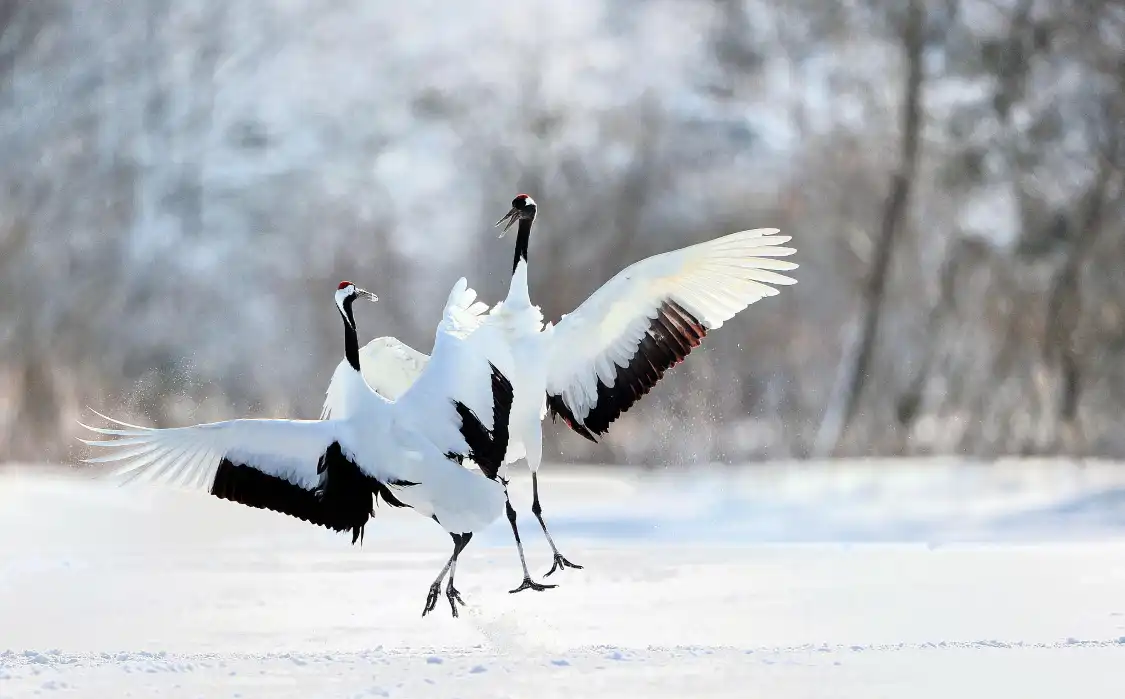Hotels near Tsurumidai (Crane Scenic Spot)