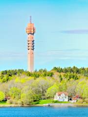 Kaknas Television Tower