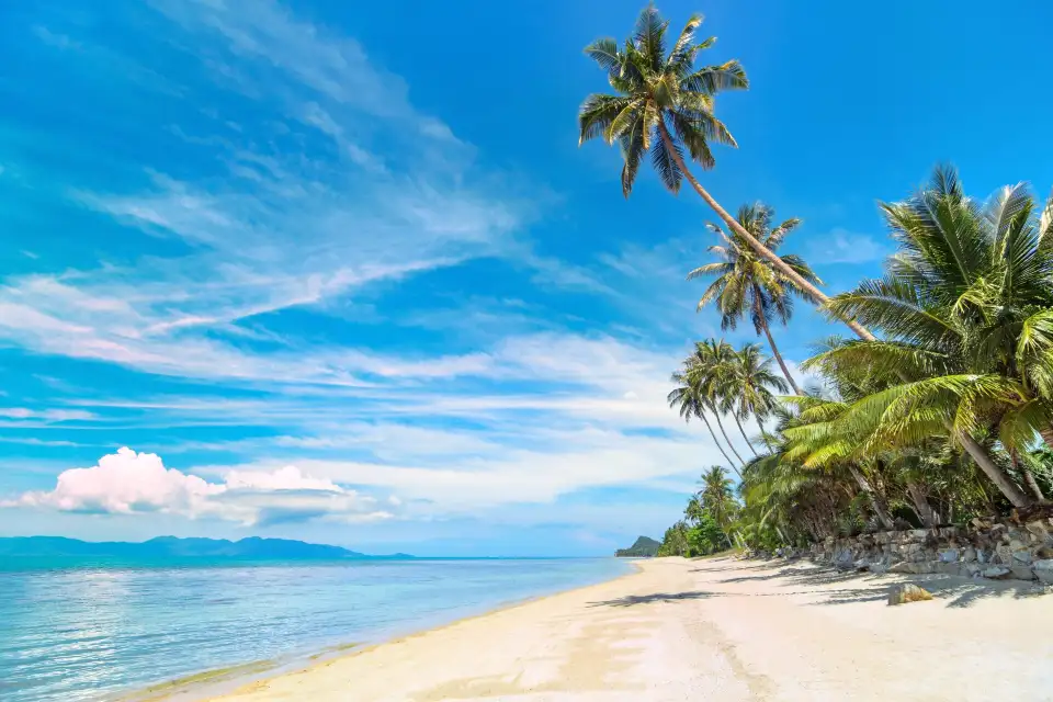1_Ko Samet