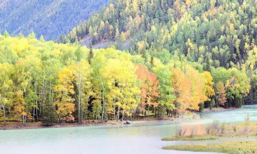 Hualin Park