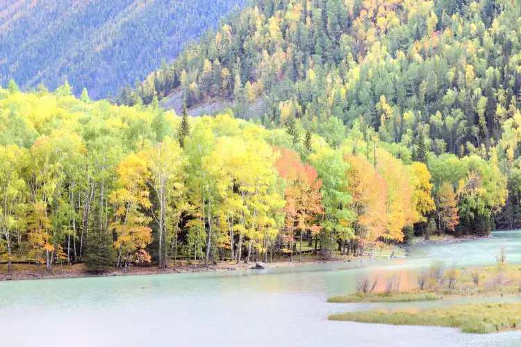 Altay