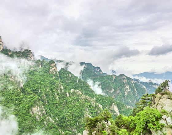 南陽 自由行套票