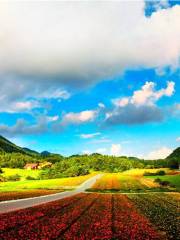 Hongchiba National Forest Park