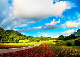 Hongchiba National Forest Park