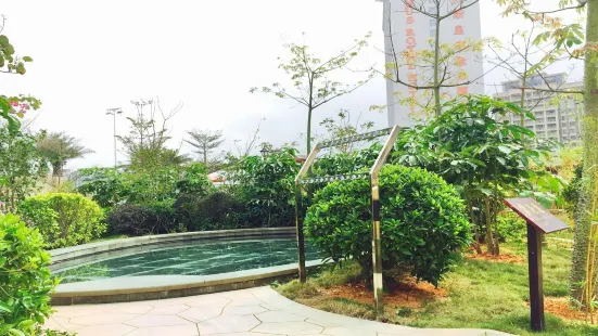 Venus Royal Hot Springs (Guangdong Yangxi Branch)