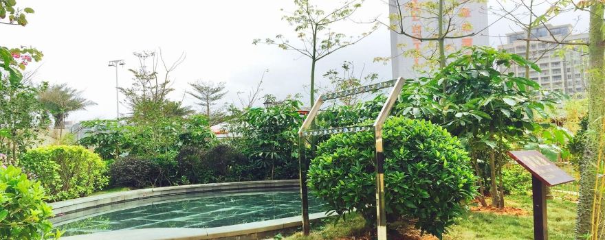 Venus Royal Hot Springs (Guangdong Yangxi Branch)