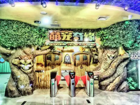 Hotels near Adorable Pet Enchanted