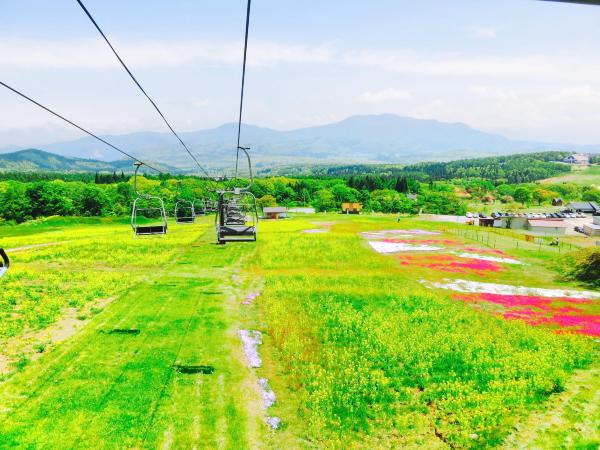 信濃町周辺の5空港を比較