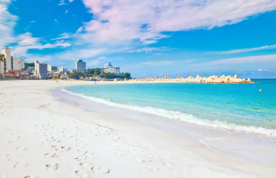 日本和歌山+白濱：和歌山城+貴志站+圓月島+千疊敷+三段壁