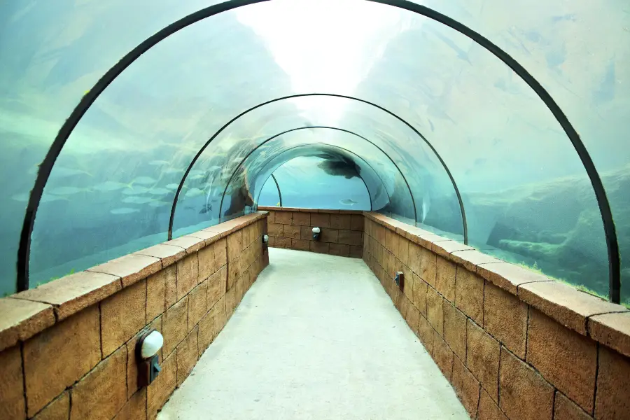 アクアティス水族館