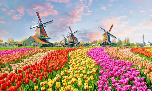 Zaanse Schans