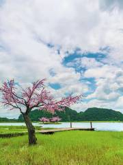 菜花箐苗族生態旅遊村