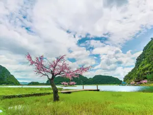 菜花箐苗族生態旅遊村