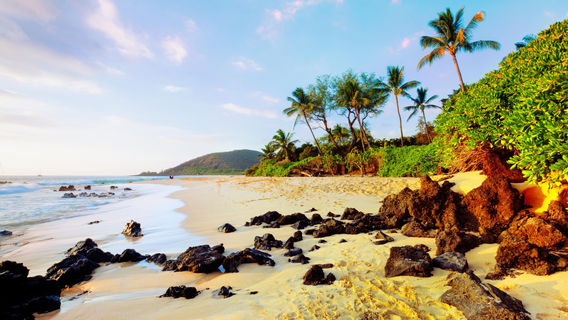 Maui County