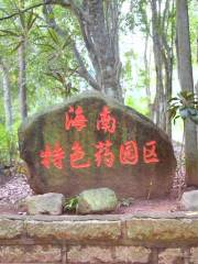 สวนพฤกษศาสตร์ Xinglong ยาใต้