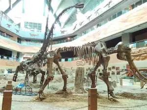 Changji Dinosaur Museum