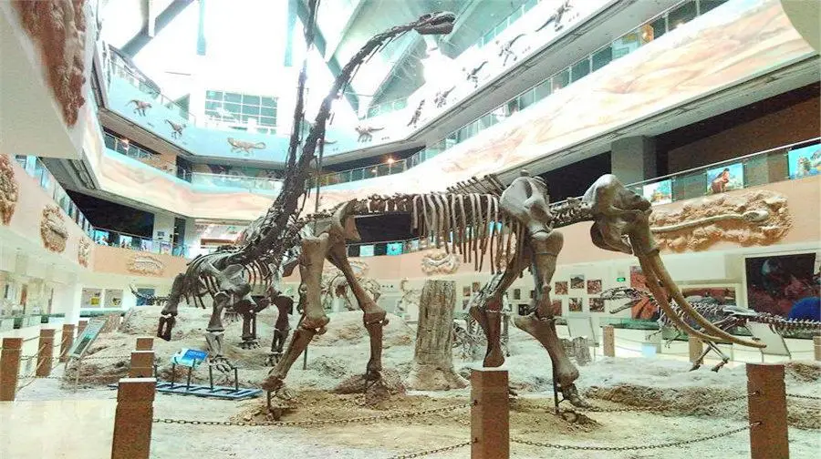 昌吉恐龍博物館