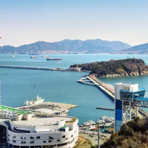 梧桐島