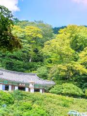 Gyeongju-Nationalpark