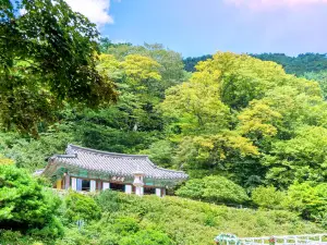 Vườn quốc gia Gyeongju