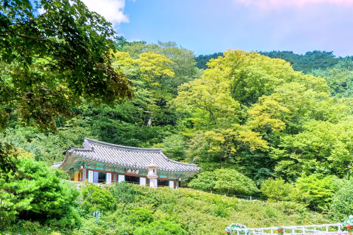 대한불교조계종 석굴암