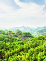 Wuyishan National Forest Park