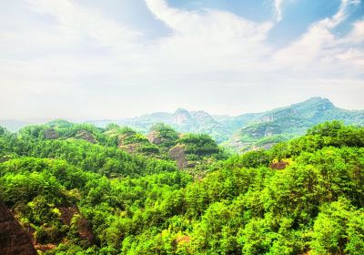 Wuyi Mountain Forest Park