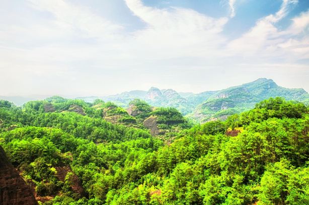 Wuyishan National Forest Park