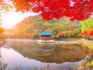 Parque nacional Naejangsan