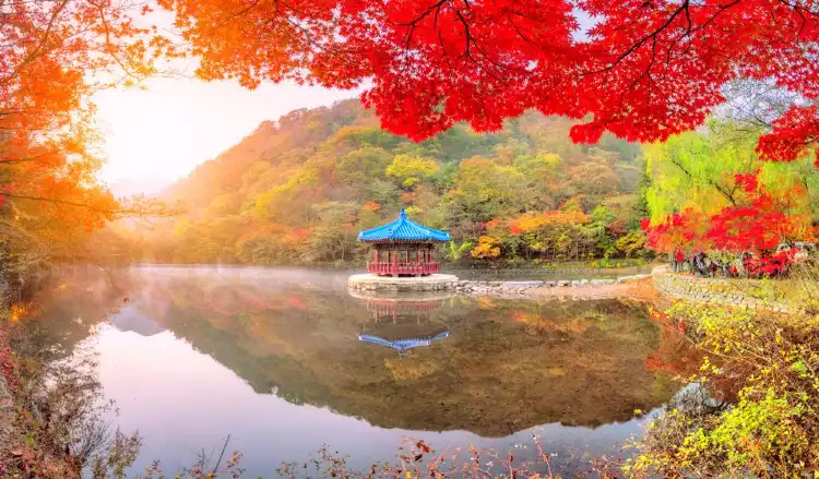 발효소스토굴 주변 호텔