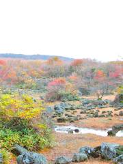 1100高山濕地