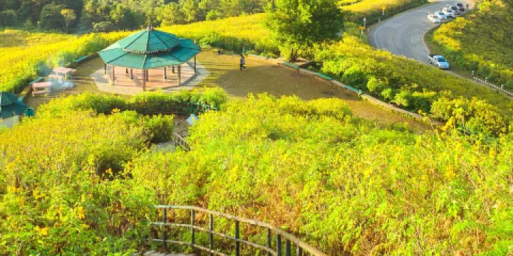 長興花溪谷景區