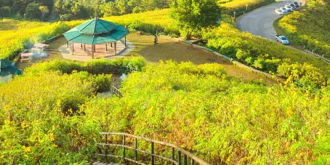 長興花溪谷景區